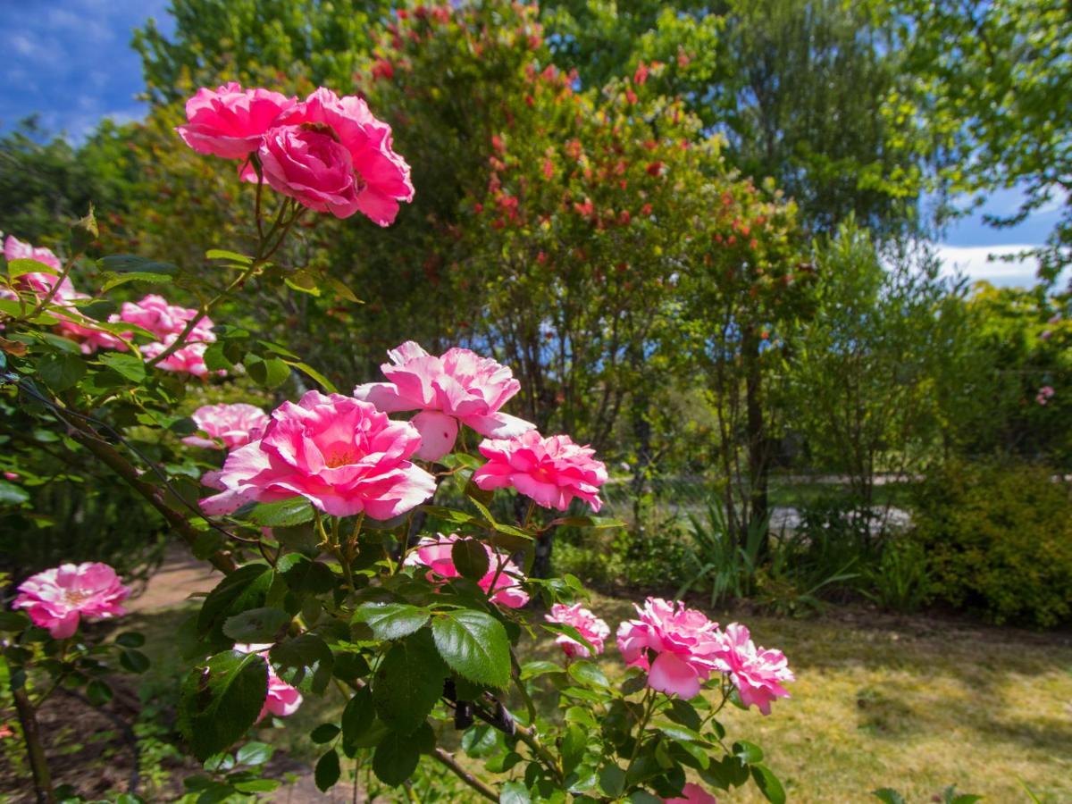 Holiday home Secret Garden -